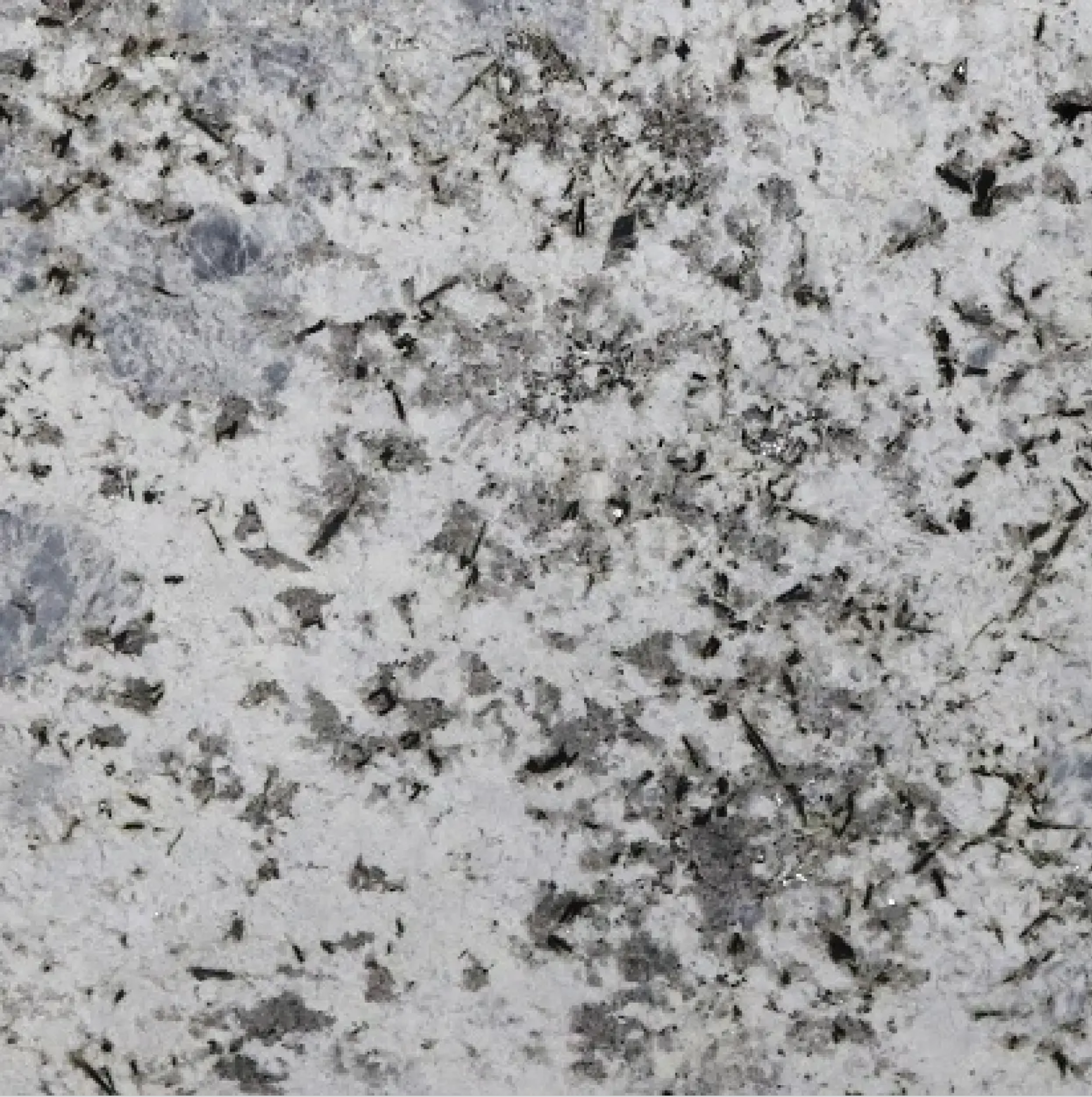 Blue Flower Granite