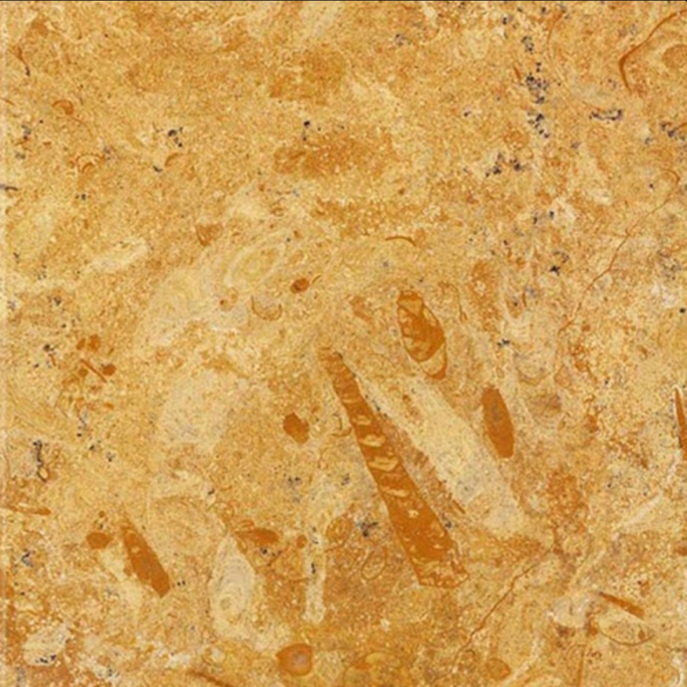 Flowery Gold Sandstone